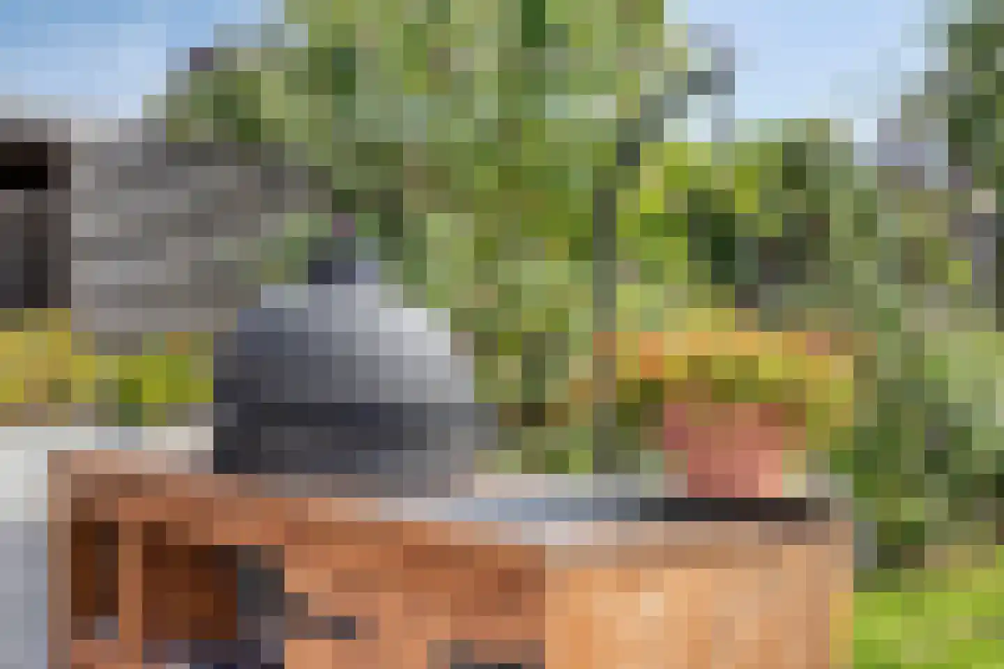 Appelgaard 5 Nieuw-Beijerland thumbnail 28