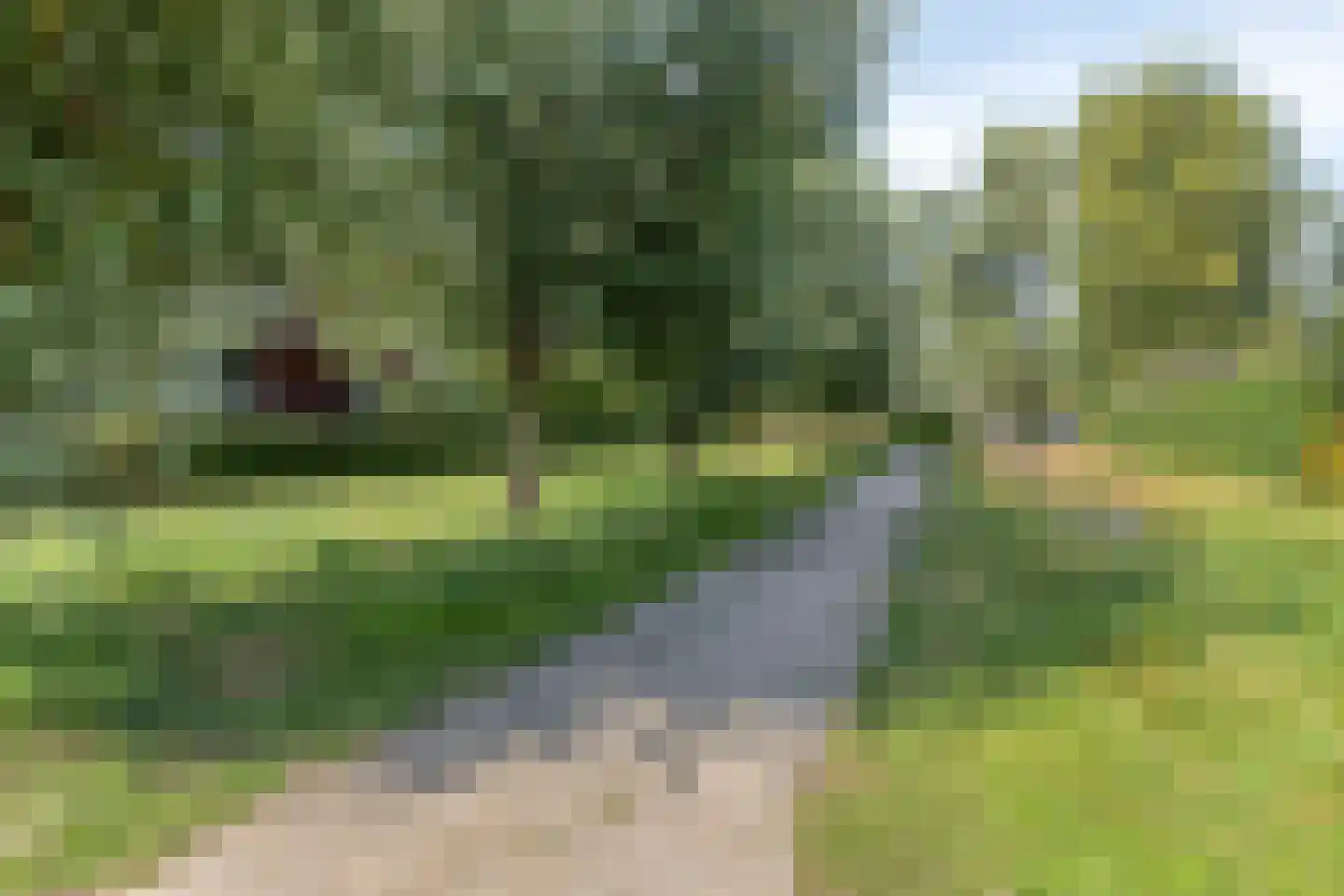 Appelgaard 5 Nieuw-Beijerland thumbnail 44