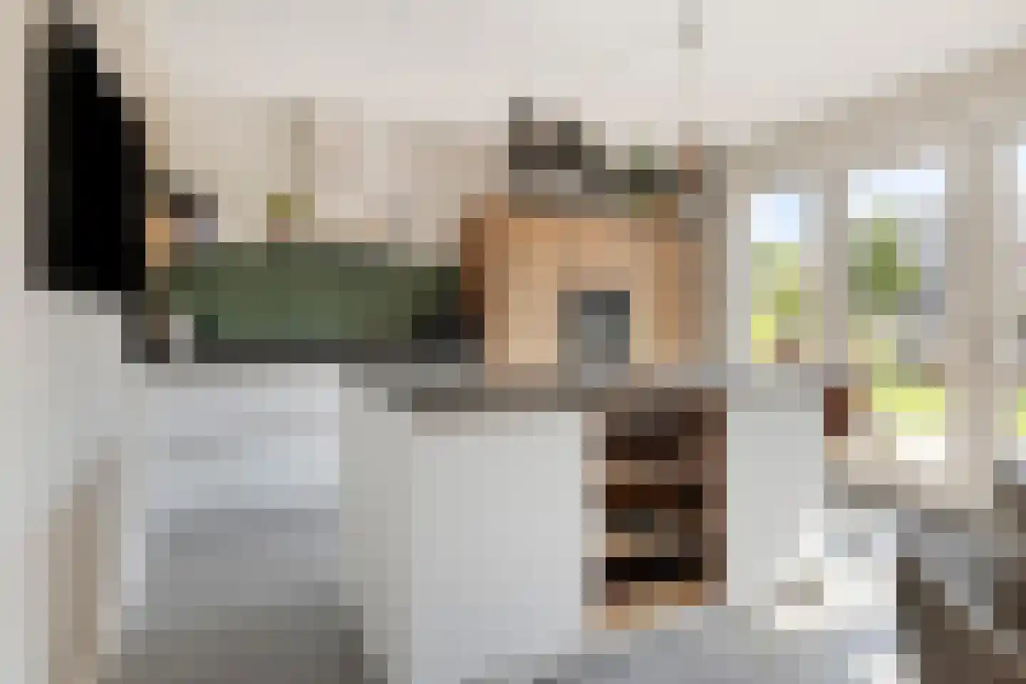 Appelgaard 5 Nieuw-Beijerland thumbnail 5