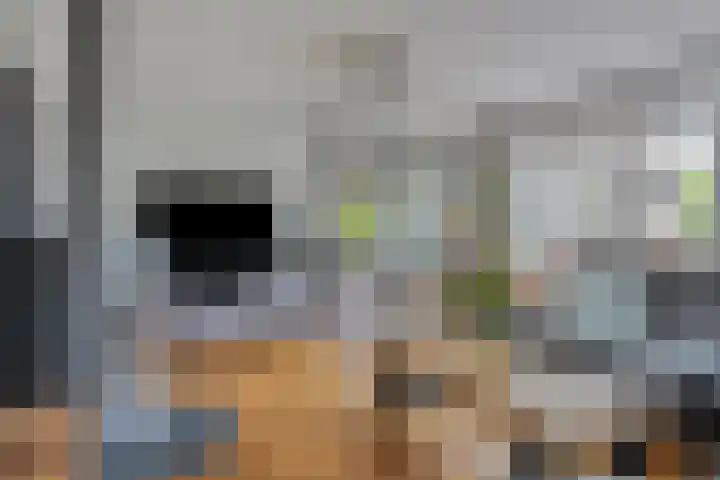 Appelgaard 50 Heerjansdam thumbnail 10