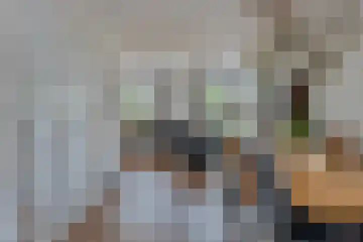 Appelgaard 50 Heerjansdam thumbnail 12