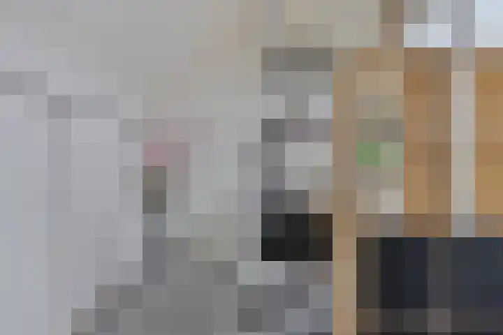 Appelgaard 50 Heerjansdam thumbnail 35