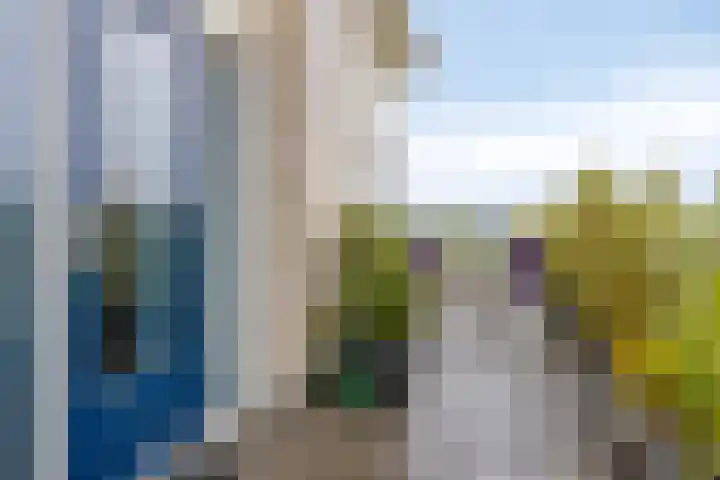 Appelgaard 50 Heerjansdam thumbnail 36