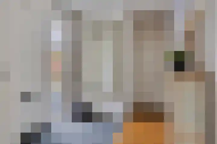 Appelgaard 50 Heerjansdam thumbnail 6