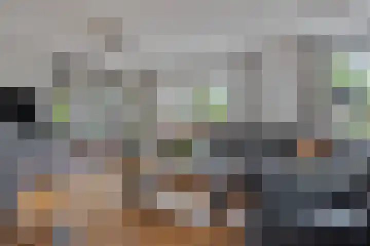 Appelgaard 50 Heerjansdam thumbnail 8