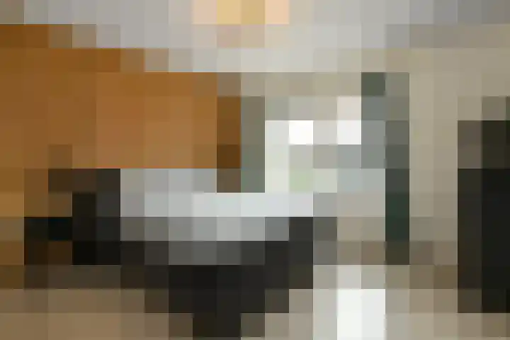 Appelgaard 52 Elst thumbnail 12