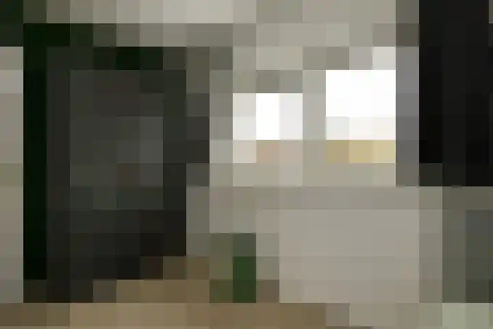 Appelgaard 52 Elst thumbnail 18