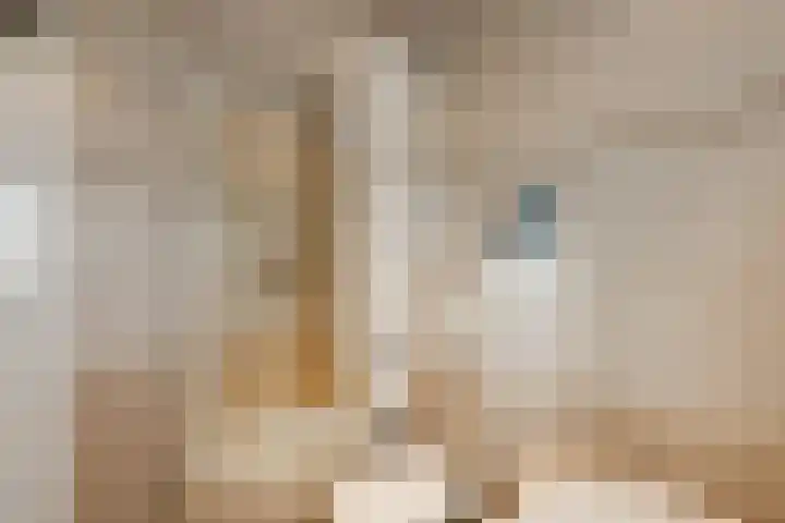 Appelgaard 52 Elst thumbnail 20