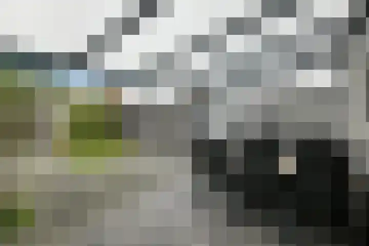 Appelgaard 52 Elst thumbnail 25