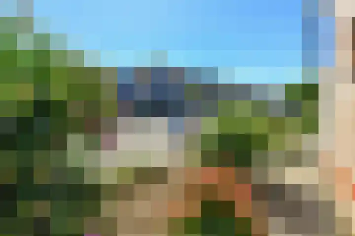 Appelgaard 52 Elst thumbnail 33