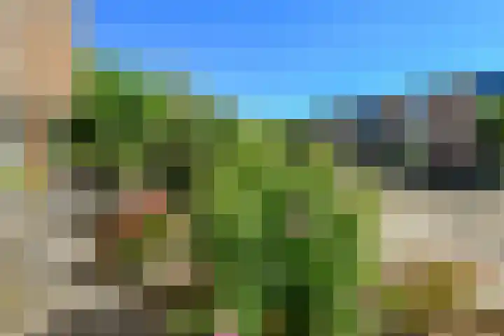 Appelgaard 52 Elst thumbnail 34