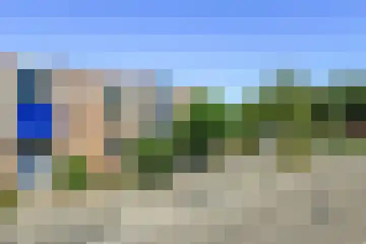 Appelgaard 52 Elst thumbnail 35