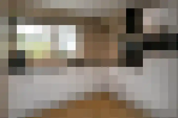 Appelgaard 52 Elst thumbnail 4