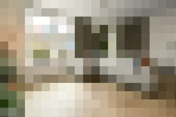Appelgaard 52 Elst thumbnail 9