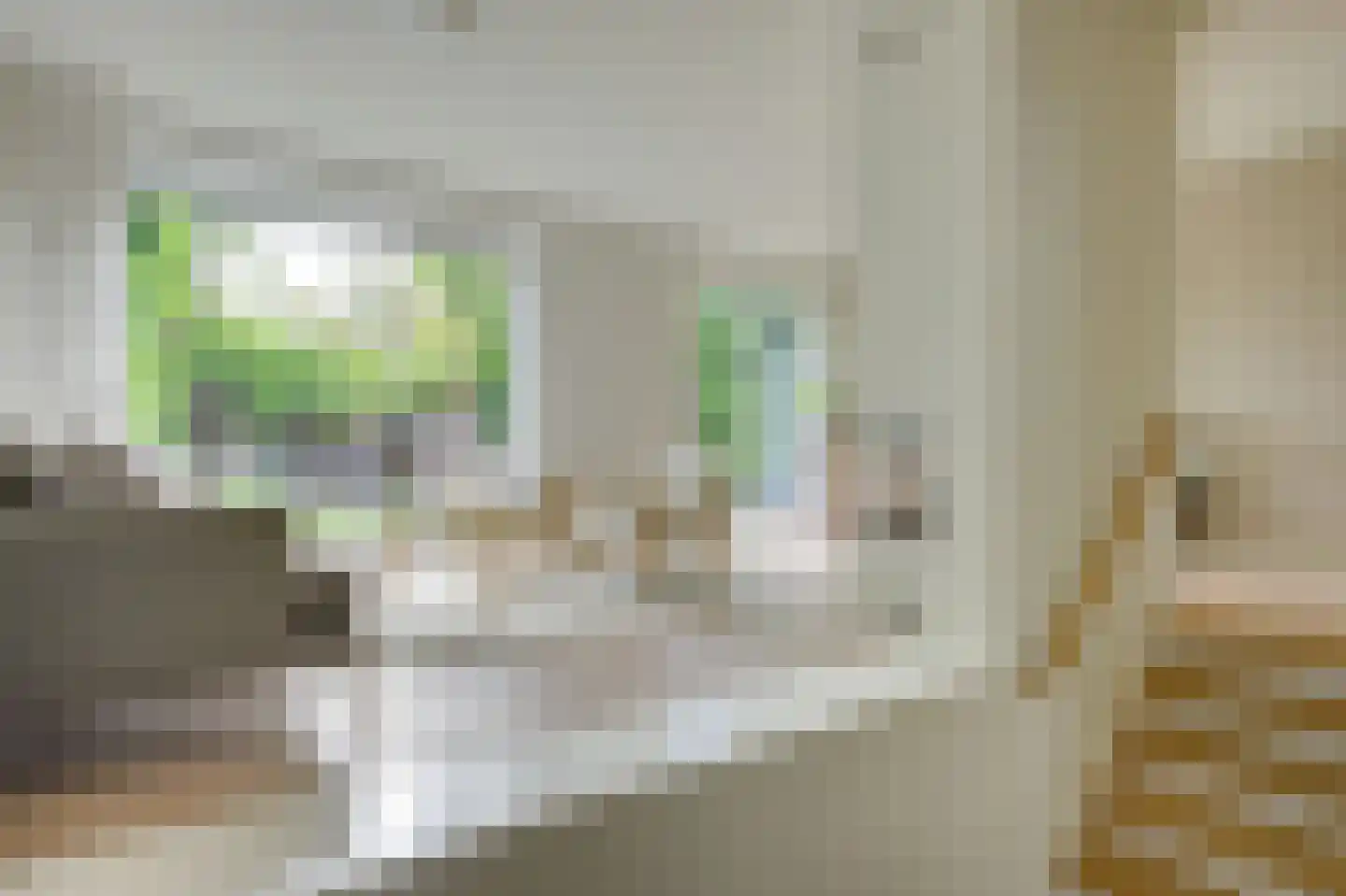 Appelgaard 6 Doorn thumbnail 16