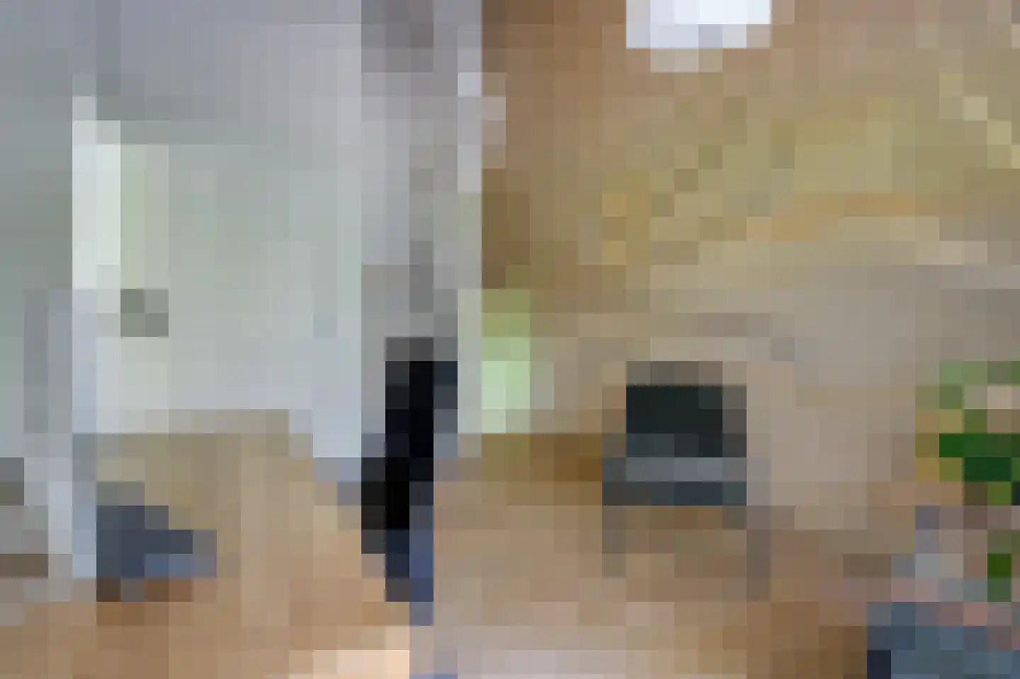 Appelgaard 6 Doorn thumbnail 24