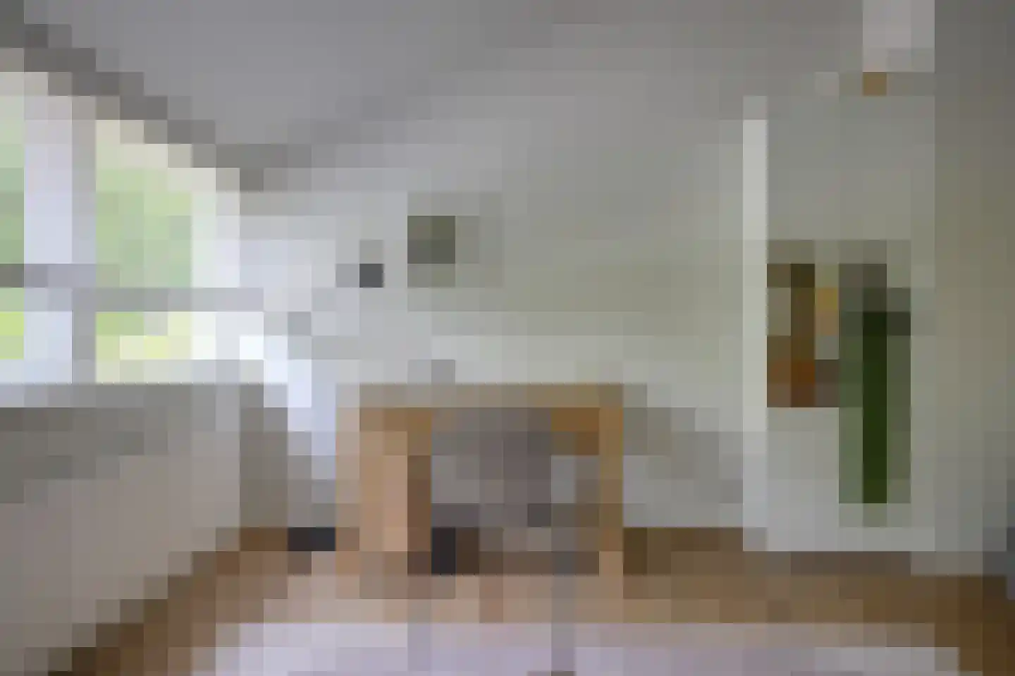 Appelgaard 6 Doorn thumbnail 27