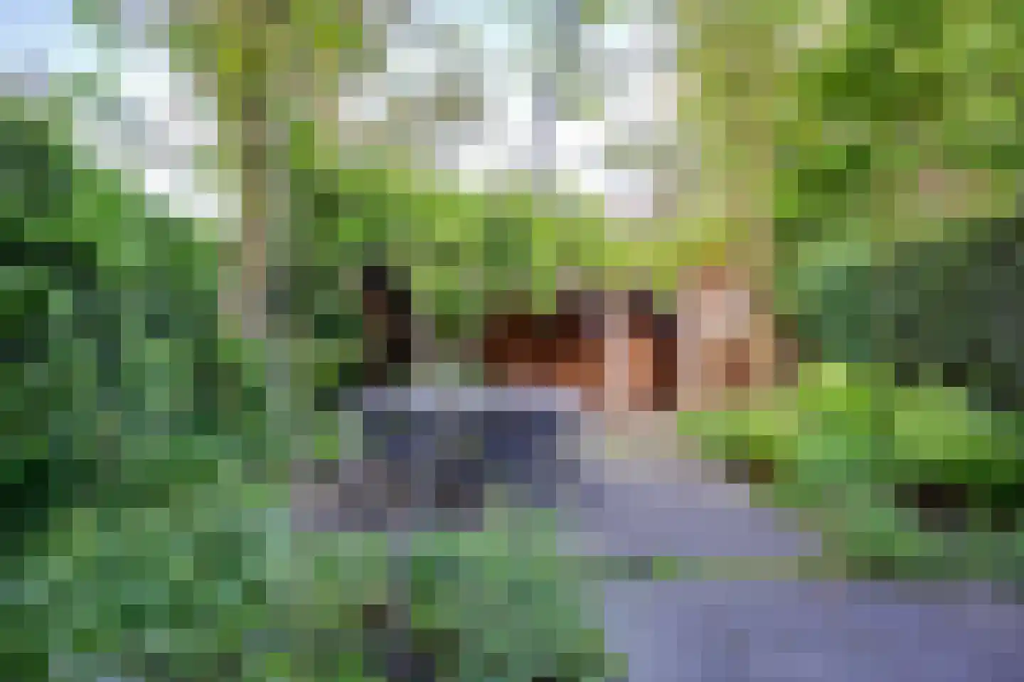 Appelgaard 6 Doorn thumbnail 42