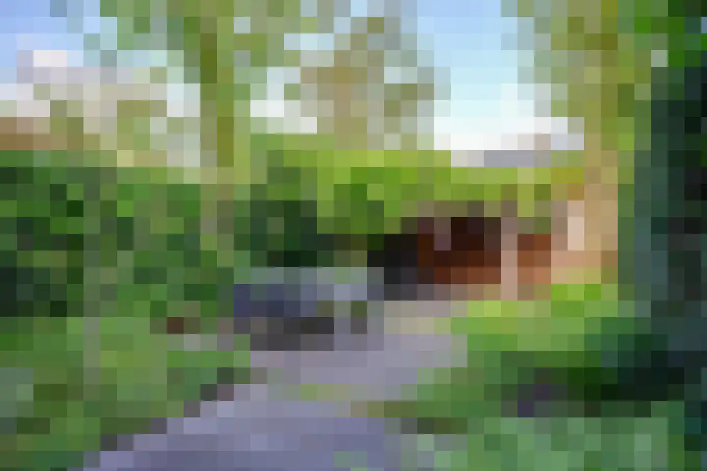 Appelgaard 6 Doorn thumbnail 43