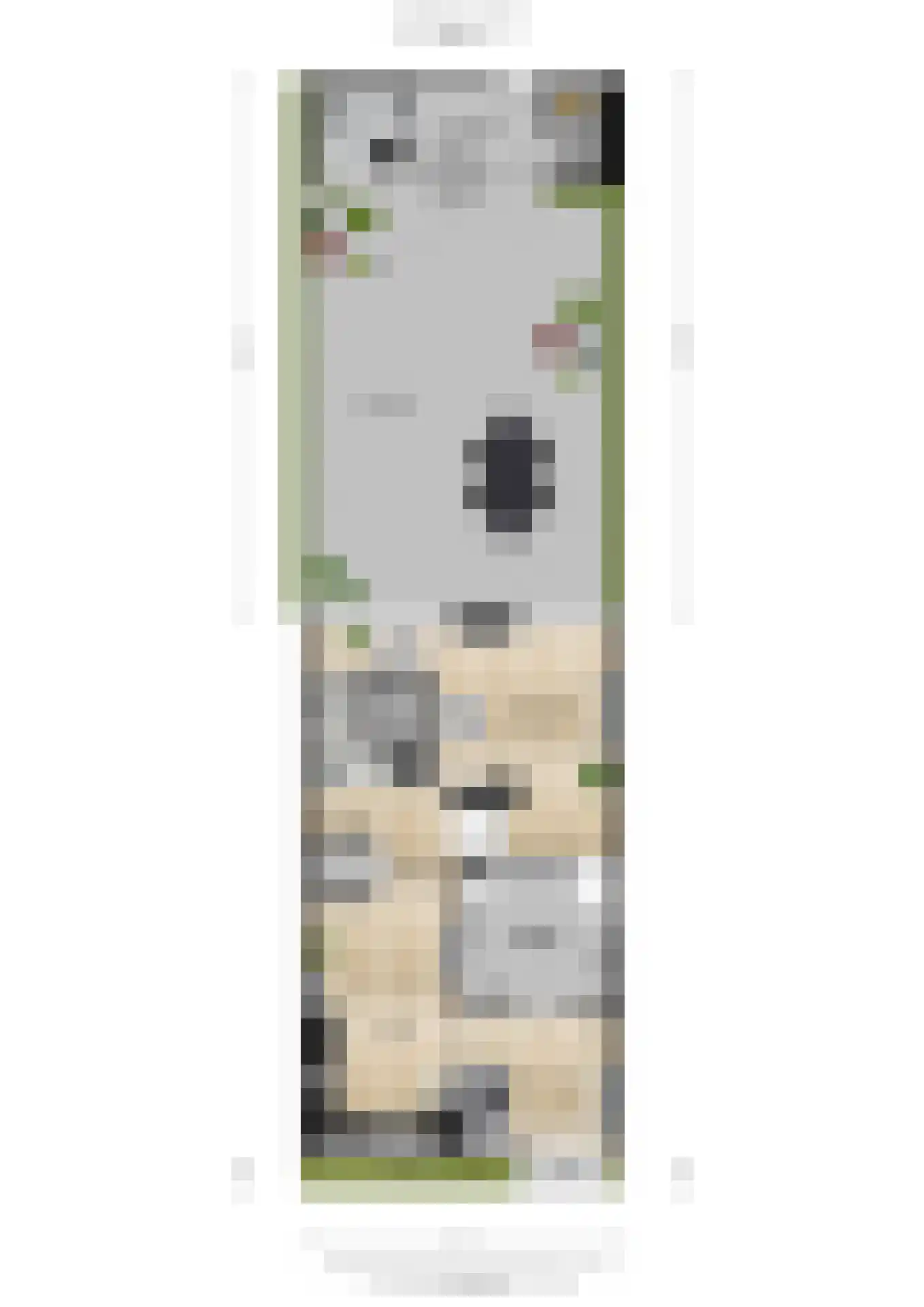Appelgaard 6 Doorn thumbnail 56