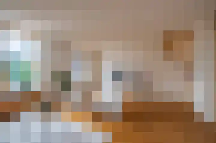 Appelgaard 63 Elst thumbnail 14