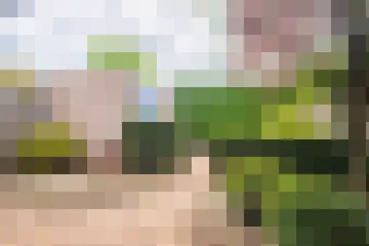 Appelgaard 63 Elst thumbnail 21