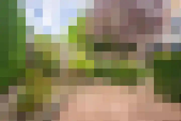 Appelgaard 63 Elst thumbnail 24