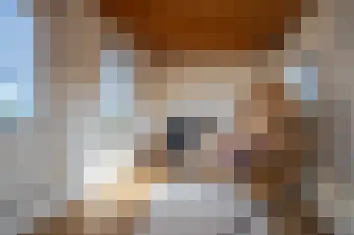 Appelgaard 63 Elst thumbnail 34