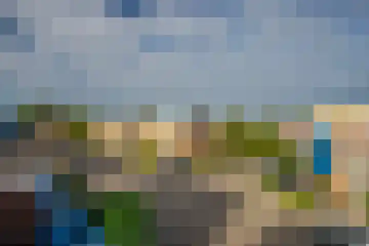 Appelgaard 63 Elst thumbnail 39