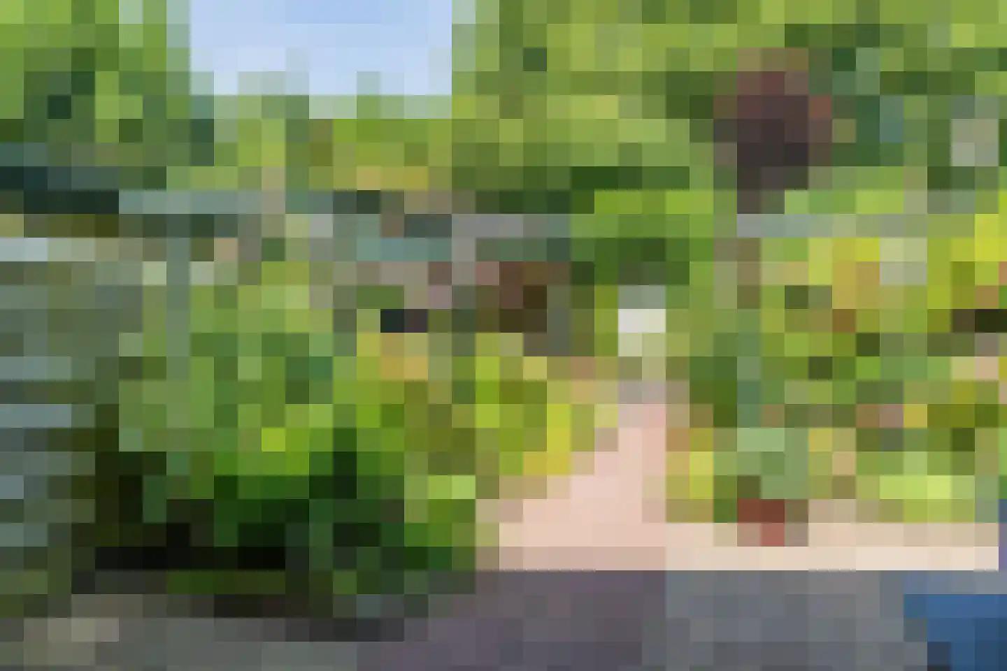 Appelgaard 63 Wijk bij Duurstede thumbnail 38