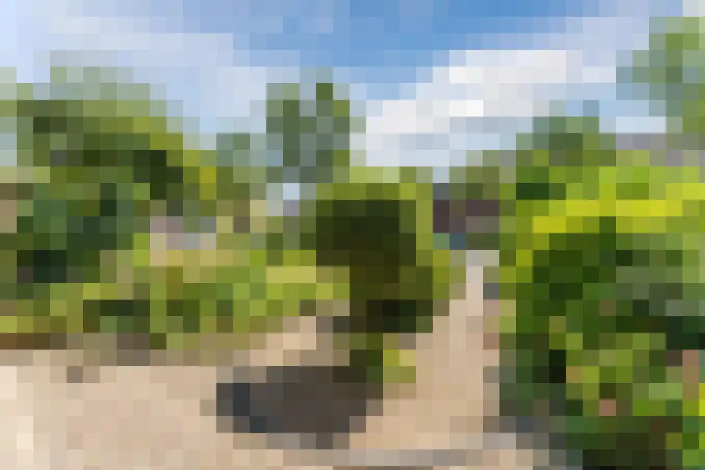 Appelgaard 63 Wijk bij Duurstede thumbnail 56