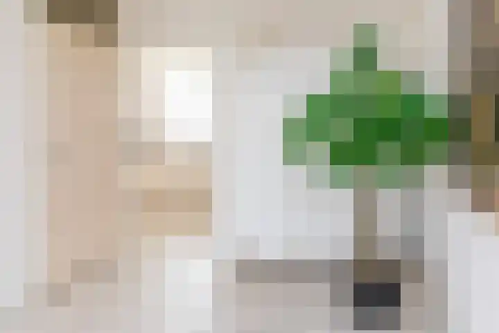 Appelgaard 72 Lienden thumbnail 13