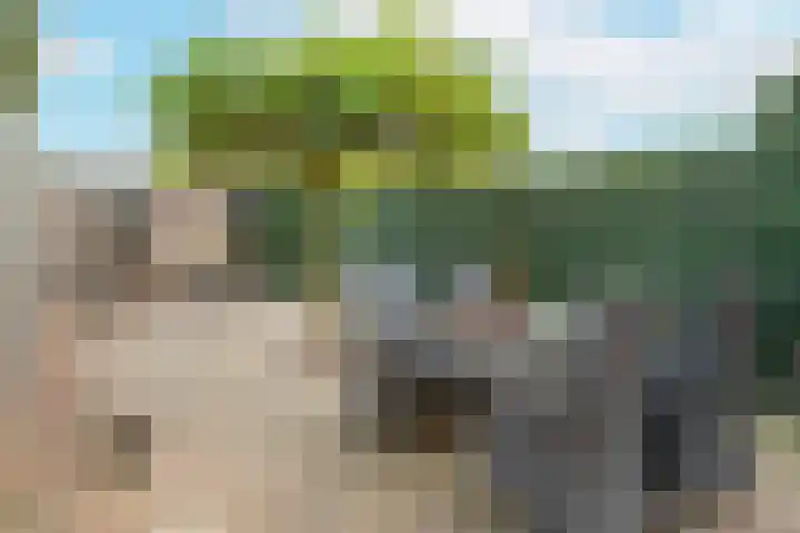 Appelgaard 72 Lienden thumbnail 37