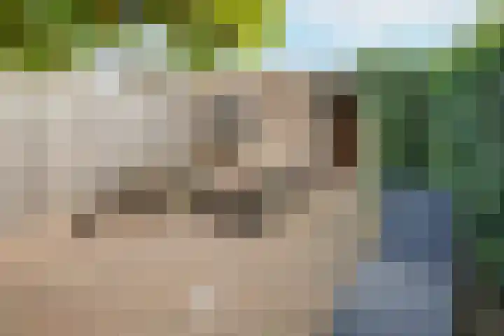 Appelgaard 72 Lienden thumbnail 38