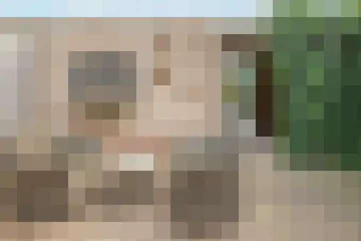 Appelgaard 72 Lienden thumbnail 39
