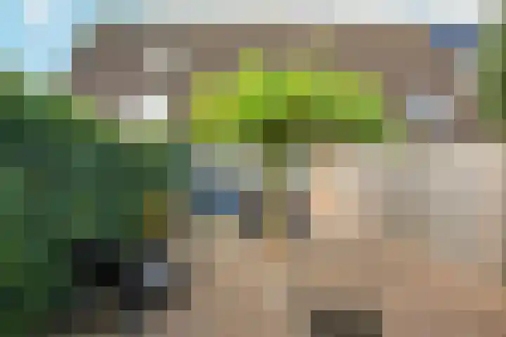 Appelgaard 72 Lienden thumbnail 42