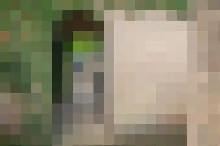 Appelgaard 72 Lienden thumbnail 44