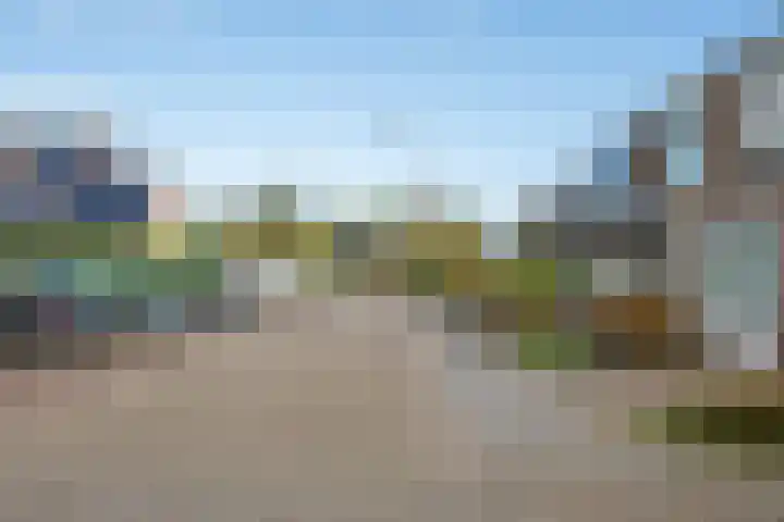 Appelgaard 72 Lienden thumbnail 48