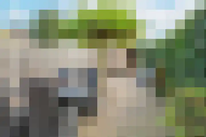Appelgaard 72 Lienden thumbnail 71