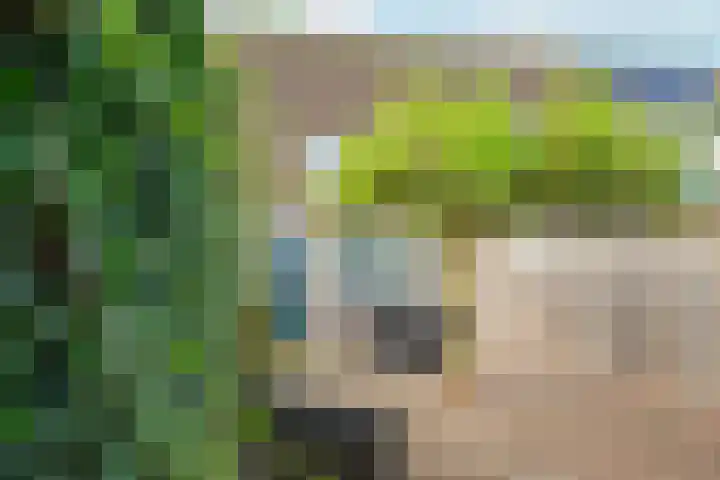 Appelgaard 72 Lienden thumbnail 74