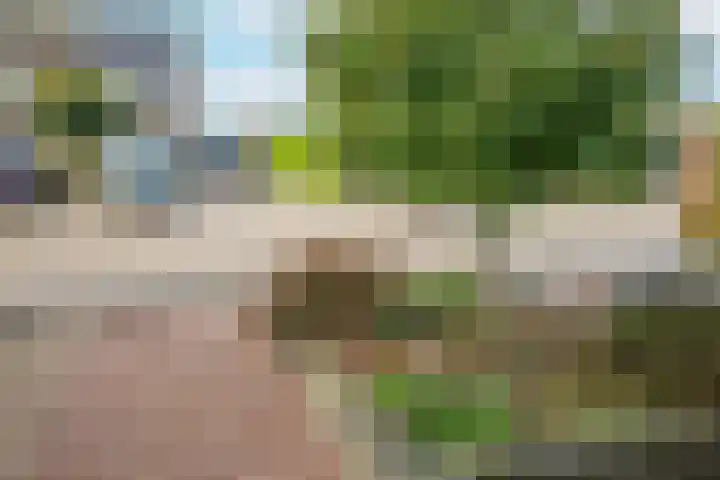 Appelgaard 72 Lienden thumbnail 8