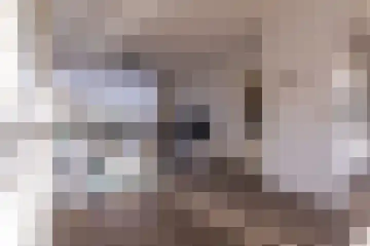 Appelgaard 9 Zwaag thumbnail 12