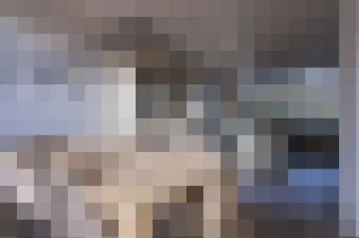 Appelgaard 9 Zwaag thumbnail 13