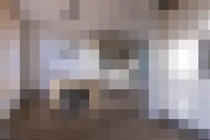 Appelgaard 9 Zwaag thumbnail 14