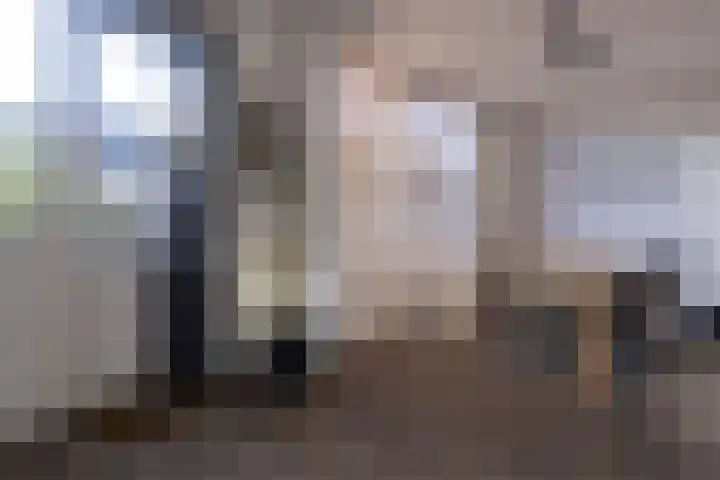 Appelgaard 9 Zwaag thumbnail 19