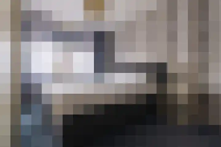 Appelgaard 9 Zwaag thumbnail 22