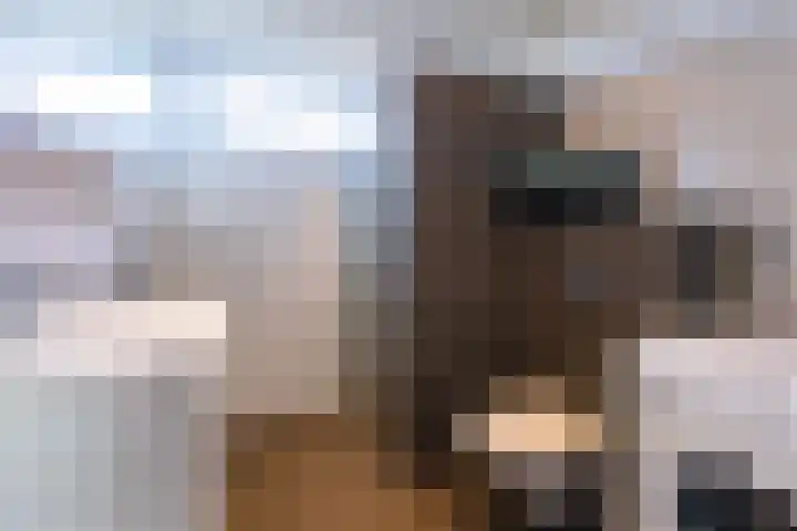 Appelgaard 9 Zwaag thumbnail 29