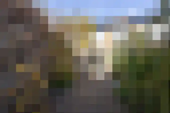 Appelgaard 9 Zwaag thumbnail 38