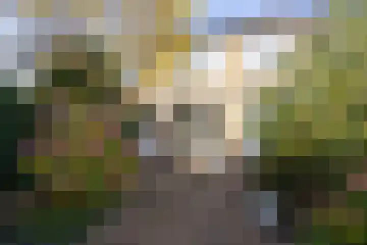 Appelgaard 9 Zwaag thumbnail 4