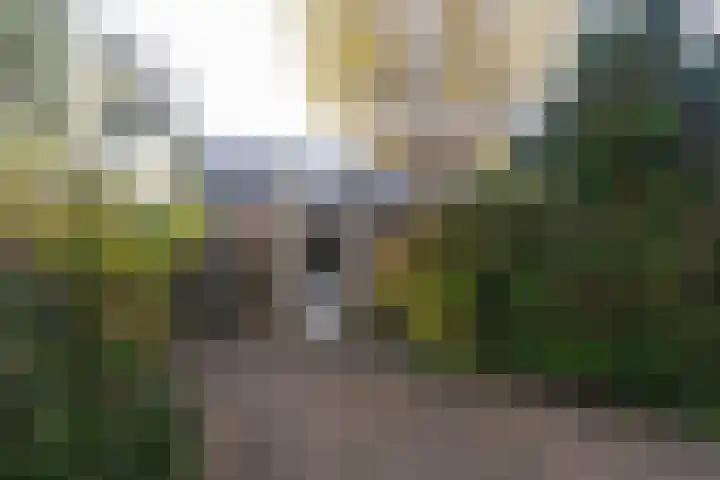 Appelgaard 9 Zwaag thumbnail 41